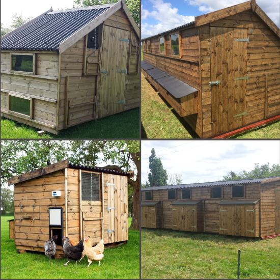 Large Chicken Houses 20 - 300 Chickens